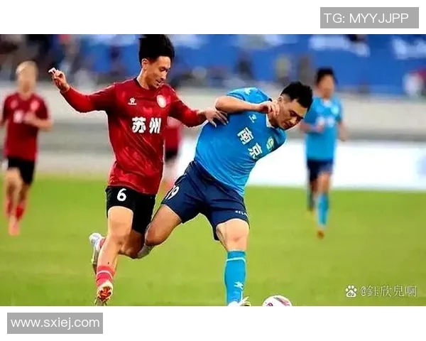 足球联赛主场优势对比赛结果的影响