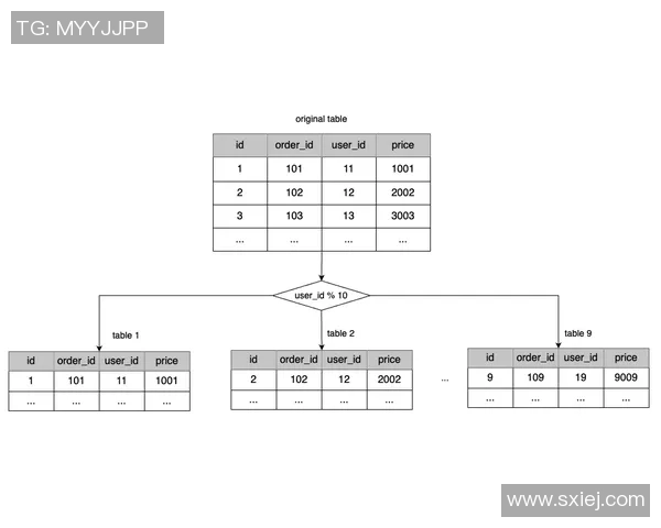 F1赛车燃料策略对比赛成绩的关键影响及优化分析 F1赛车燃料策略对比赛成绩的关键影响及优化分析
