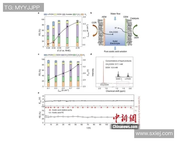 奥运会游泳项目技术动作科学研究与竞技表现优化路径探索